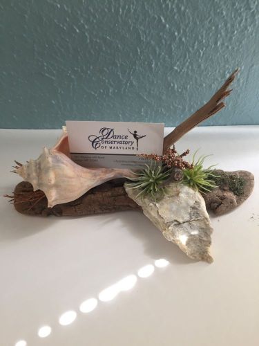 Artisan Handmade Seashell And Driftwood Business Card Holder