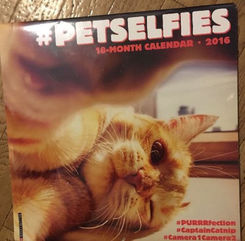 #Petselfies Pet Selfies 18 Month 2016 Wall Calendar New