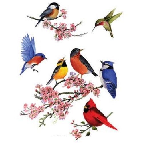 Songbirds of america heat press transfer for t shirt tote sweatshirt fabric 203a for sale