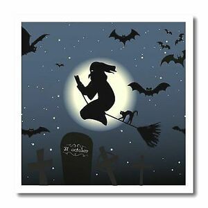 3dRose ht_211699_2 Witch on Broom with Bats Flying in Air Iron on Heat Transfer,