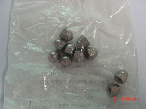 1/4-20 Stainless Steel Self-Locking Acorn Nuts