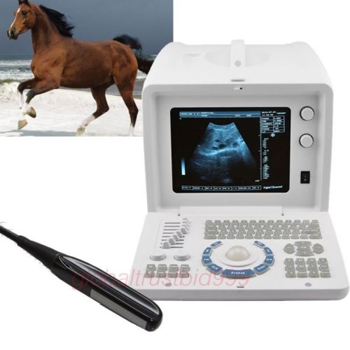 Digital portable big animal veterinary ultrasound scanner machine + rectal probe for sale