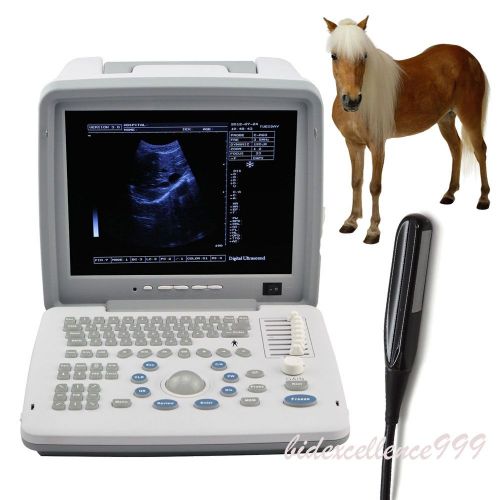 12-Inch Portable Digital Ultrasound Scanner 7.5MHz Rectal Probe 3D Veterinary AA