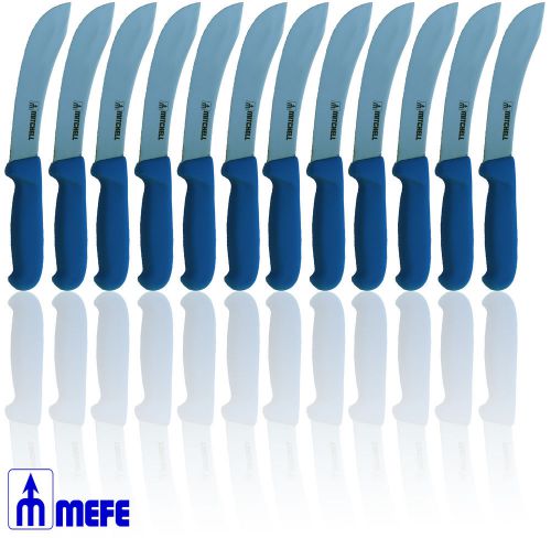 KNIFE 6&#034; SKINNING, Mirror finish, BLUE Fibrox Handle CAT 1376SFB X 12