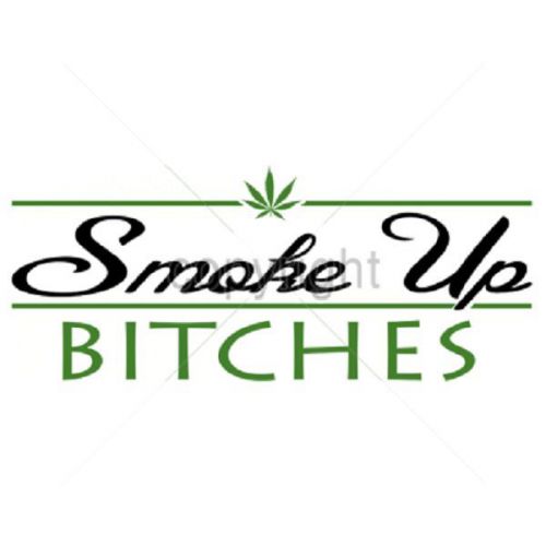 Smoke Up Bitches HEAT PRESS TRANSFER for T Shirt Sweatshirt 730a Marijuana Pot