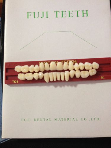 A full mouth set of Pigeon Teeth (Child ot small adult size)