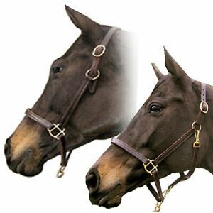 Pro-Trainer H425W Convertible Halter Leather Horse Grooming Halter LG Horse