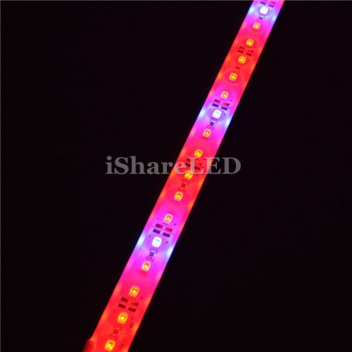 50pcs 0.5m 5630 smd red blue 5:1 hydroponic plant grow led bar strip light ip68 for sale