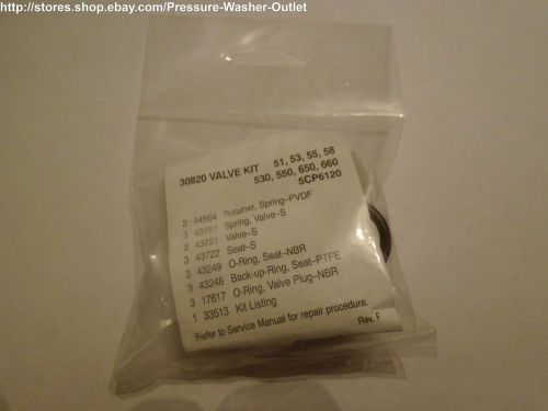 Cat Pump Valve Kit #30820 Cat 530,550,650,660 Priority Shipping