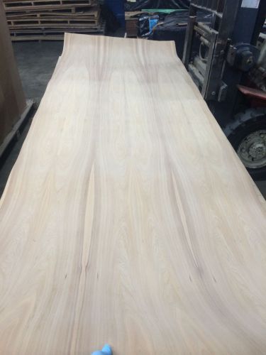 Wood Veneer Cypress 48x144 1pcs total 10mil paper backed &#034;EXOTIC&#034; 0884.1