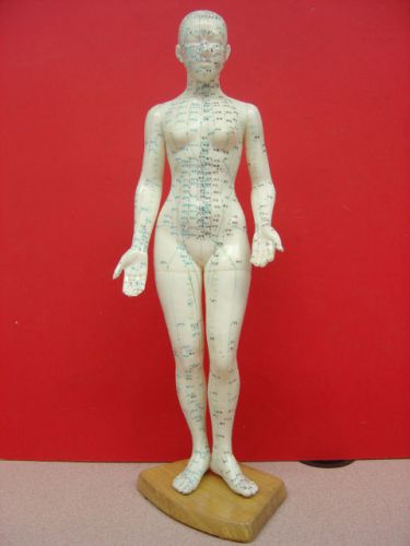Woman Acupuncture Body Model for Both Meridianal &amp; Extraordinary Points 17.5&#034;