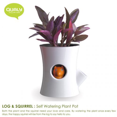 QUALY Living Styles Home Log &amp; Squirrel Self Watering Plant Pot White Black