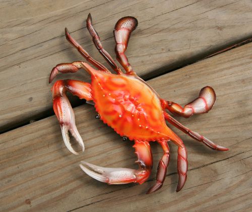 (2)6&#034;, POLY-RESIN, RED CRABS,STEAMED CRABS,SEAFOOD RESTAURANT,DINER DECOR,BEACH