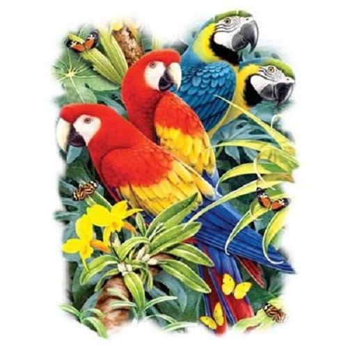 Macaw Parrot HEAT PRESS TRANSFER for T Shirt Sweatshirt Tote Quilt Fabric 210