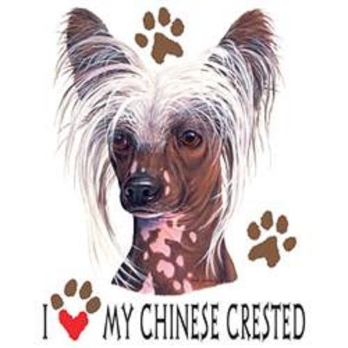 Chinese crested dog heat press transfer for t shirt tote sweatshirt fabric 827m for sale