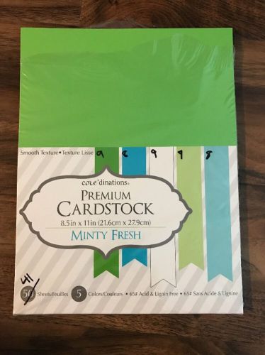 CORE&#039;DINATIONS minty Fresh Premium Cardstock, Blue Green White, 8.5&#034;X11&#034;, 41