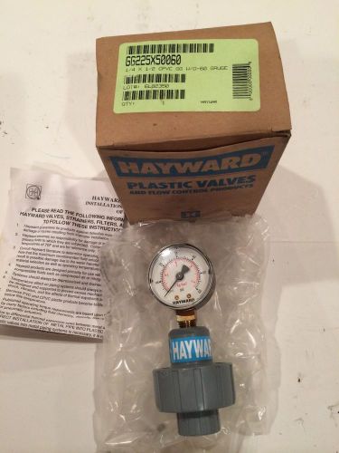 Hayward 1/4x1/2 CPVC Gauge Guard W 0-60 PSI GG225X50060