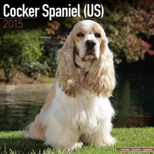NEW 2015 Cocker Spaniel (US) Wall Calendar by Avonside- Free Priority Shipping!