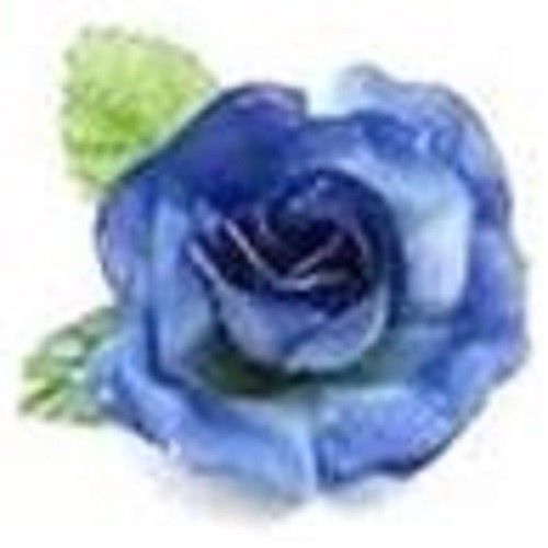 30 Custom True Blue Rose Personalized Address Labels