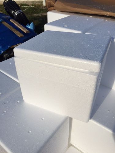 New  Insulated Styrofoam Shipping Box / Container