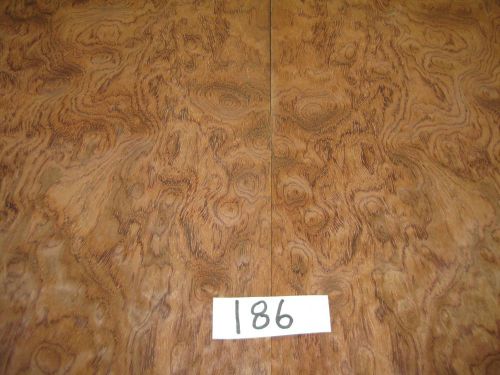 Exotic Wood Veneer - Figured Bubinga #186