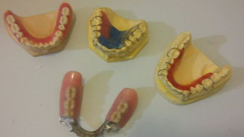 Dispaly Teeth Collection