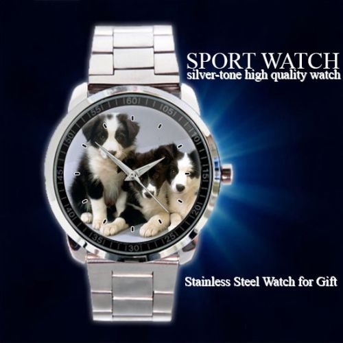 Animal Border Collie Dog Sport Metal Watch