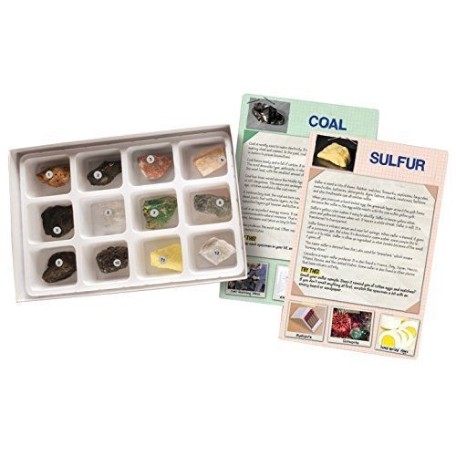 Educational insights everyday uses rock &amp; card set for sale