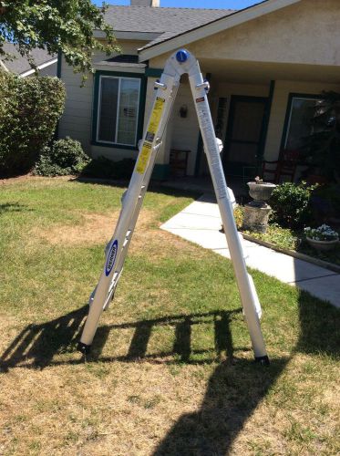Werner 3 Way Extendable Ladder MT-22