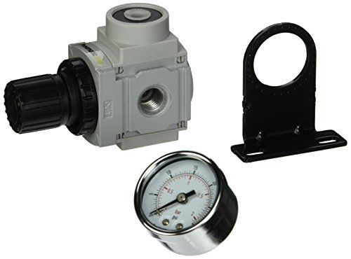 PneumaticPlus PPR2-N02BG-2 Miniature Air Pressure Regulator 1/4&#034; NPT - Gauge,