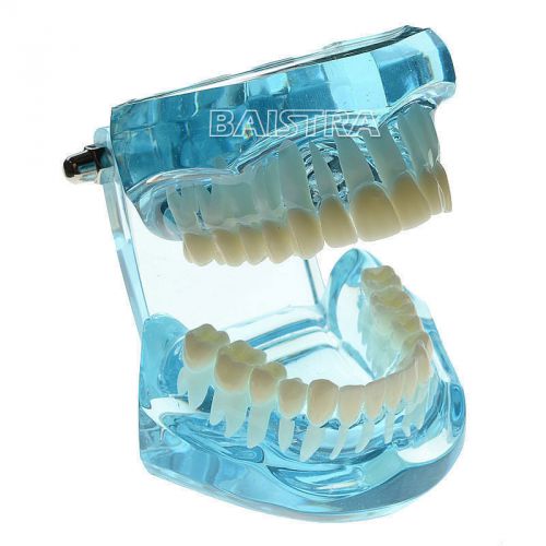 1 Pc Dental Dentist Teeth Tooth Transparent Standard Model #7001
