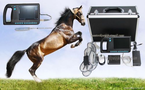 Veterinary vet cms600s digital palmsmart ultrasound scanner with rectal probe for sale