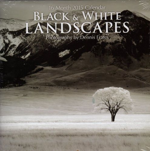 16 Month 2015 Calendar Black and White Landscapes 12 x 12 Wall Dennis Frates New