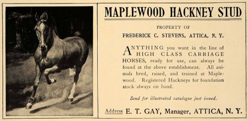 1906 Ad Maplewood Hackney Stud Farm Carriage Horses - ORIGINAL ADVERTISING CL9