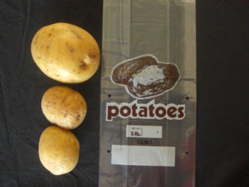 Vented Potato bag 5 lbs. New 2000 ct. 24 mic