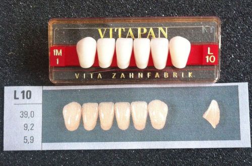 Vitapan Denture Teeth   L10    1M1