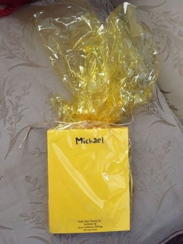 Two Personalized 4 1/4 x 5 1/2 Yellow pad with the name &#034;Michael&#034;