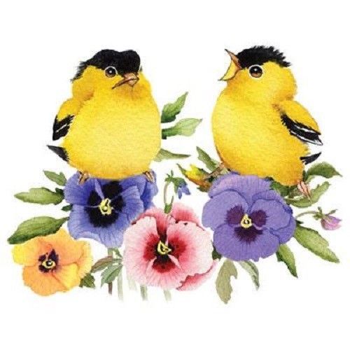 Goldfinch Pansy Bird HEAT PRESS TRANSFER PRINT for T Shirt Sweatshirt Bag  212c
