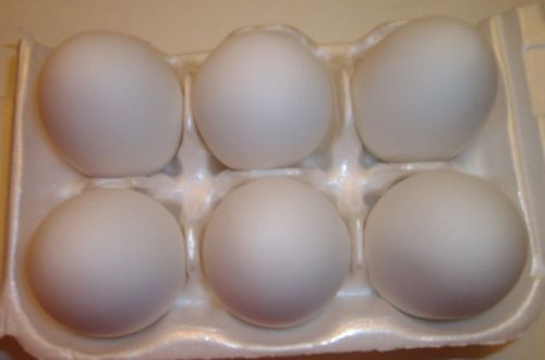 6 Dummy White Chicken Nesting Eggs  &#034; SHIP FREE&#034;