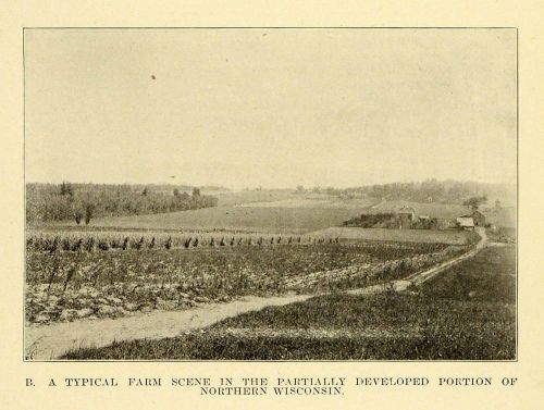 1913 print partially developed northern wisconsin agricultural farm giw1 for sale
