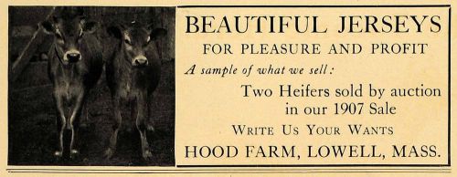 1907 Ad Hood Farm Agriculture Lowell Massachusetts Jersey Cow Bovine Bull CL8