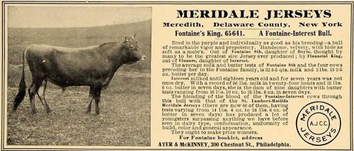 1907 Ad Meridale Jerseys Cows Milk Ayer McKinney Cattle - ORIGINAL CL4