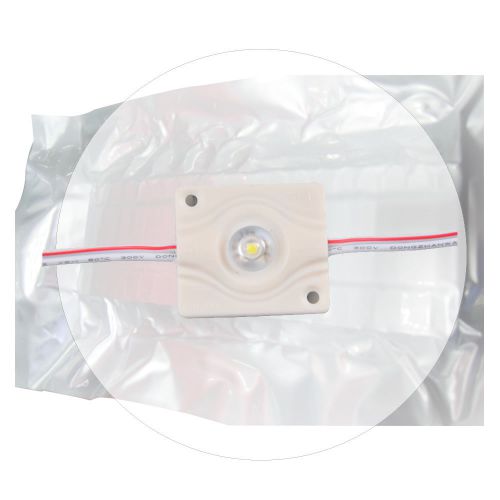 SMD 5074 High Power Waterproof LED Module (1 LED, White Light, 1.2W, 60pcs)