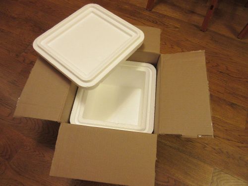13.5  by 14  by 11 Styrofoam Cooler in Shipping Box