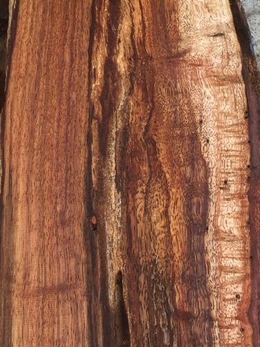 Hawaiian Curly Koa Spalted Ambrosia Live Edge Reclaimed 2 Boards 24&#034;x2-4x2&#034;
