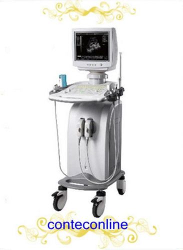 Trolley B-Ultrasound Scanner System + Convex Probe +Linear+ transvaginal 3 probe