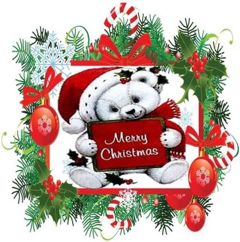 30 Personalized Christmas Animals Return Address Labels Gift Favor Tags (xa15)