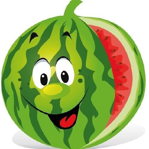 30 Custom Cartoon Watermelon Personalized Address Labels