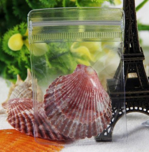 100pcs ZipLock Clear PVC Plastic Package Bags Coins Beads Jewelry 6x8cm 9.84mil