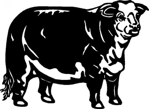 Beef Bull/Steer Sticker Graphic Decal Cattleman/Ranch